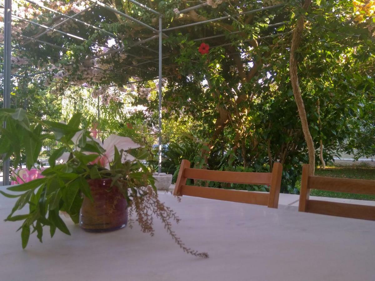 House With Garden Near The Sea Apartment Agia Efimia Exterior photo
